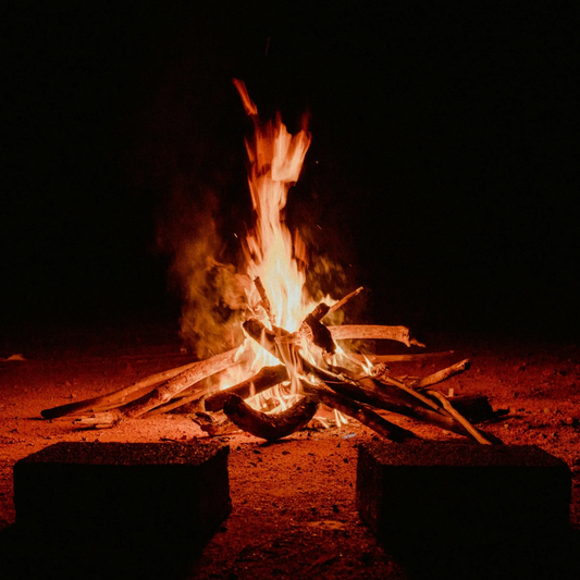 >>>> places we've never been